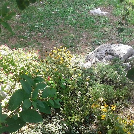 Guest House Rabenseifner - Opatija Jurdani 外观 照片