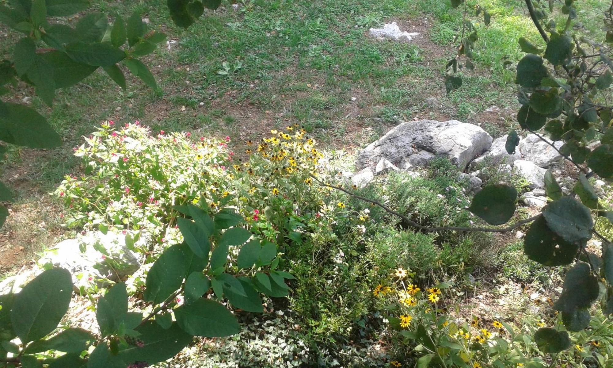 Guest House Rabenseifner - Opatija Jurdani 外观 照片